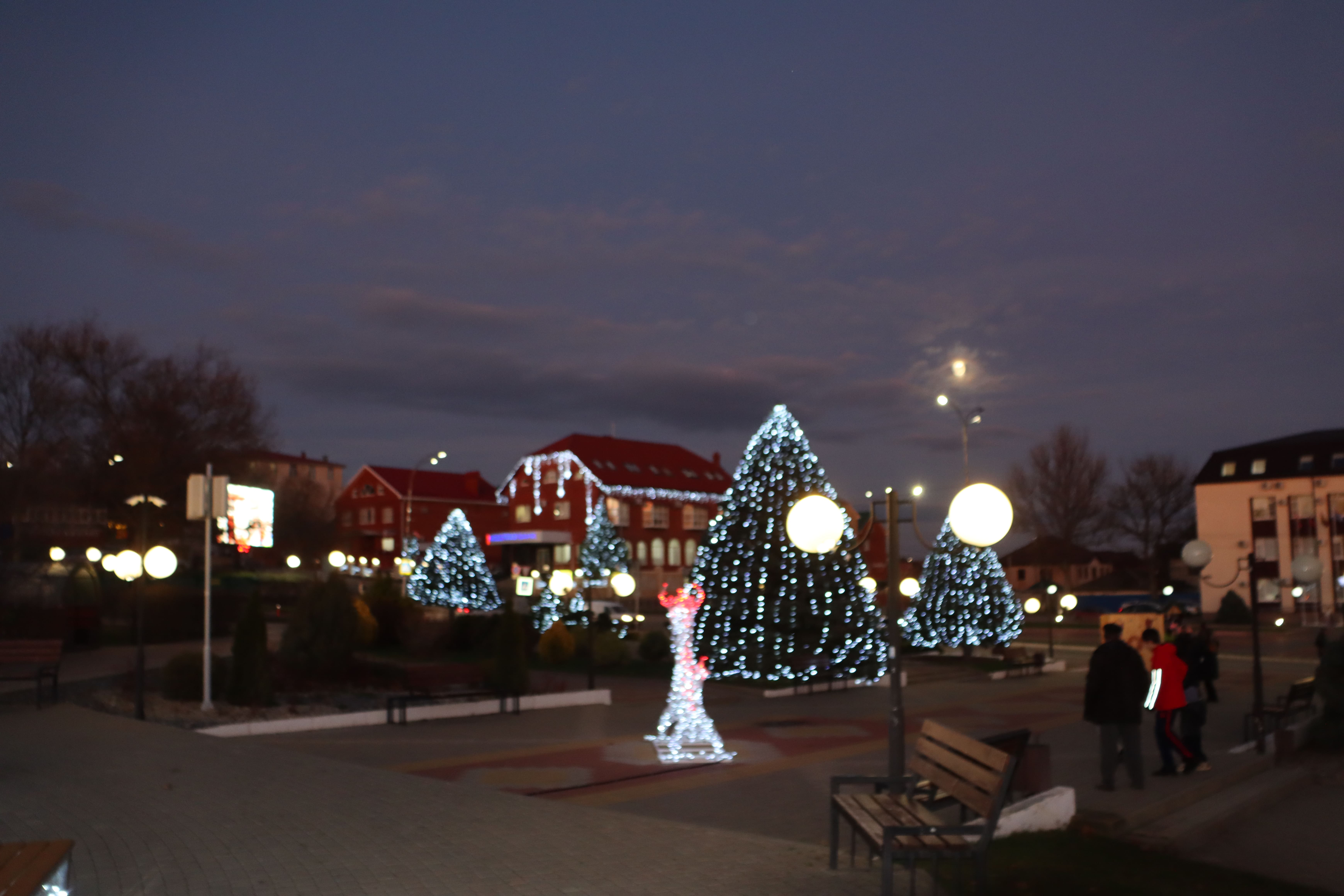 Фото из галереи под номером 5