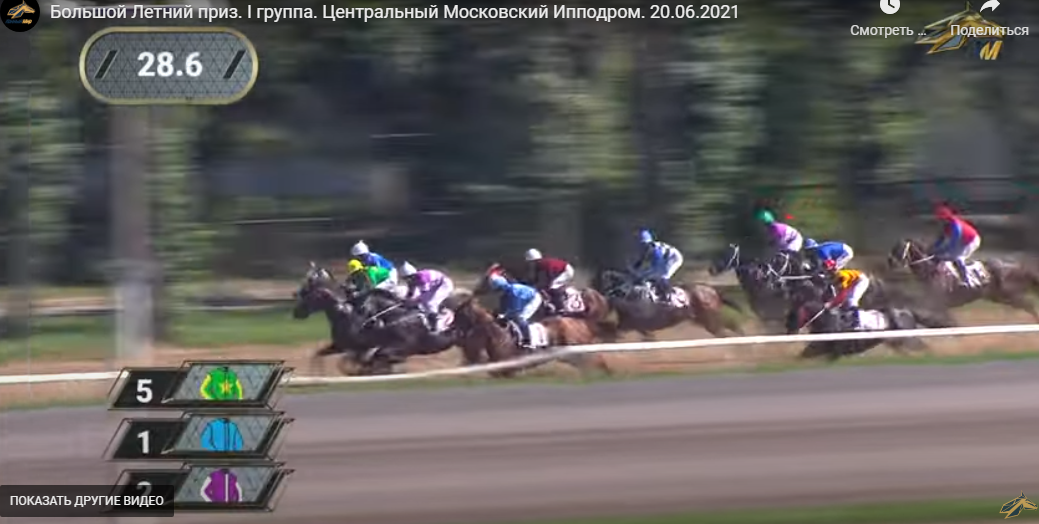 Лошади «Восхода» взяли три вторых места на ЦМИ