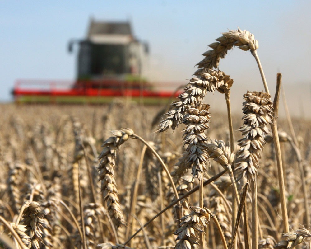 «Прогресс Агро» – один из самых эффективных агробизнесов Юга России