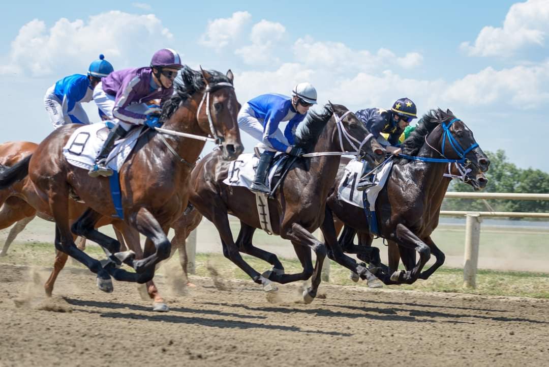  Лошади конного завода «Восход» взяли три призовых места на скачках в станице Павловской