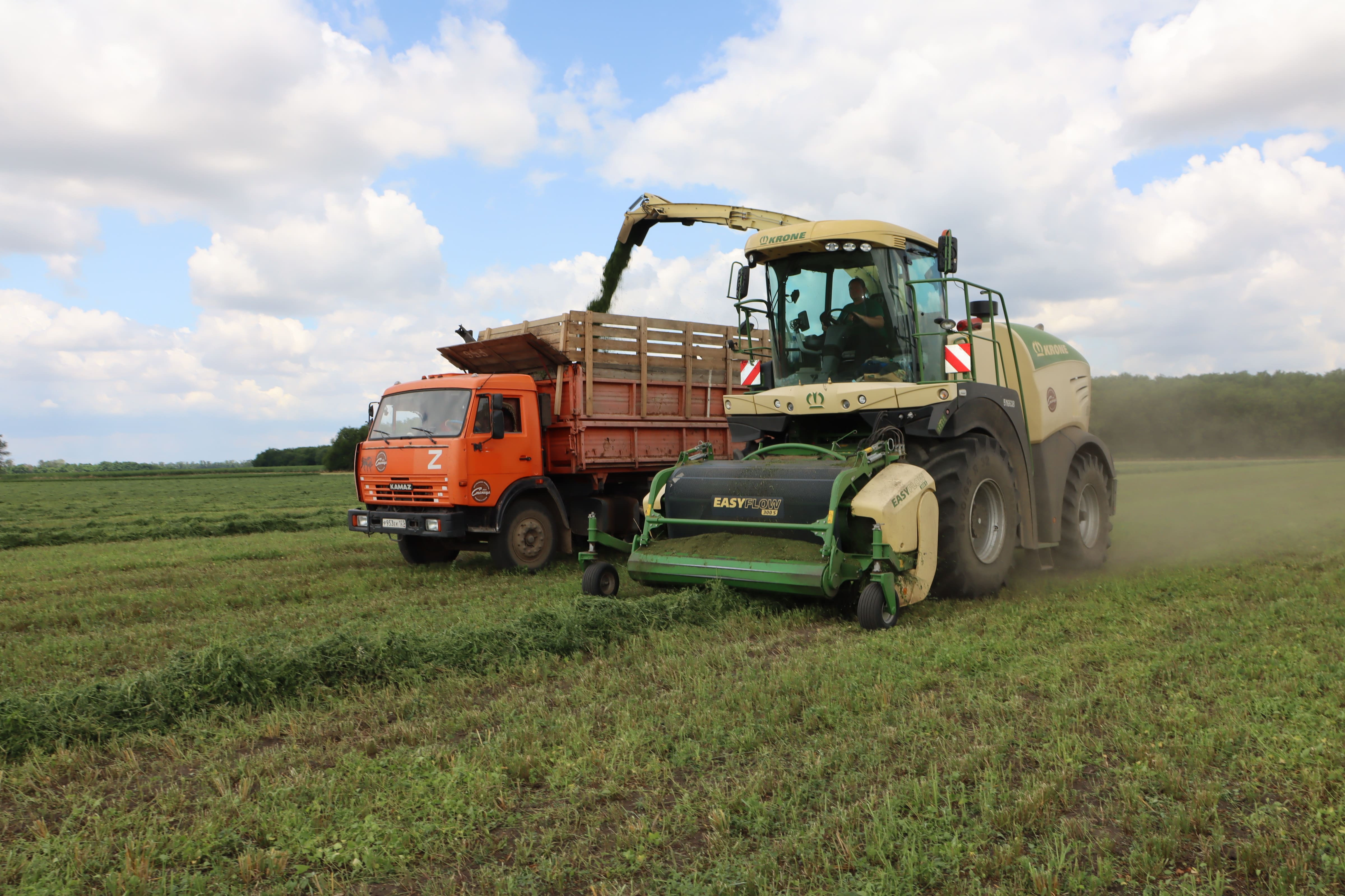 «Зеленая жатва-2023»: в «Прогресс Агро» заготавливают сено, сенаж и солому