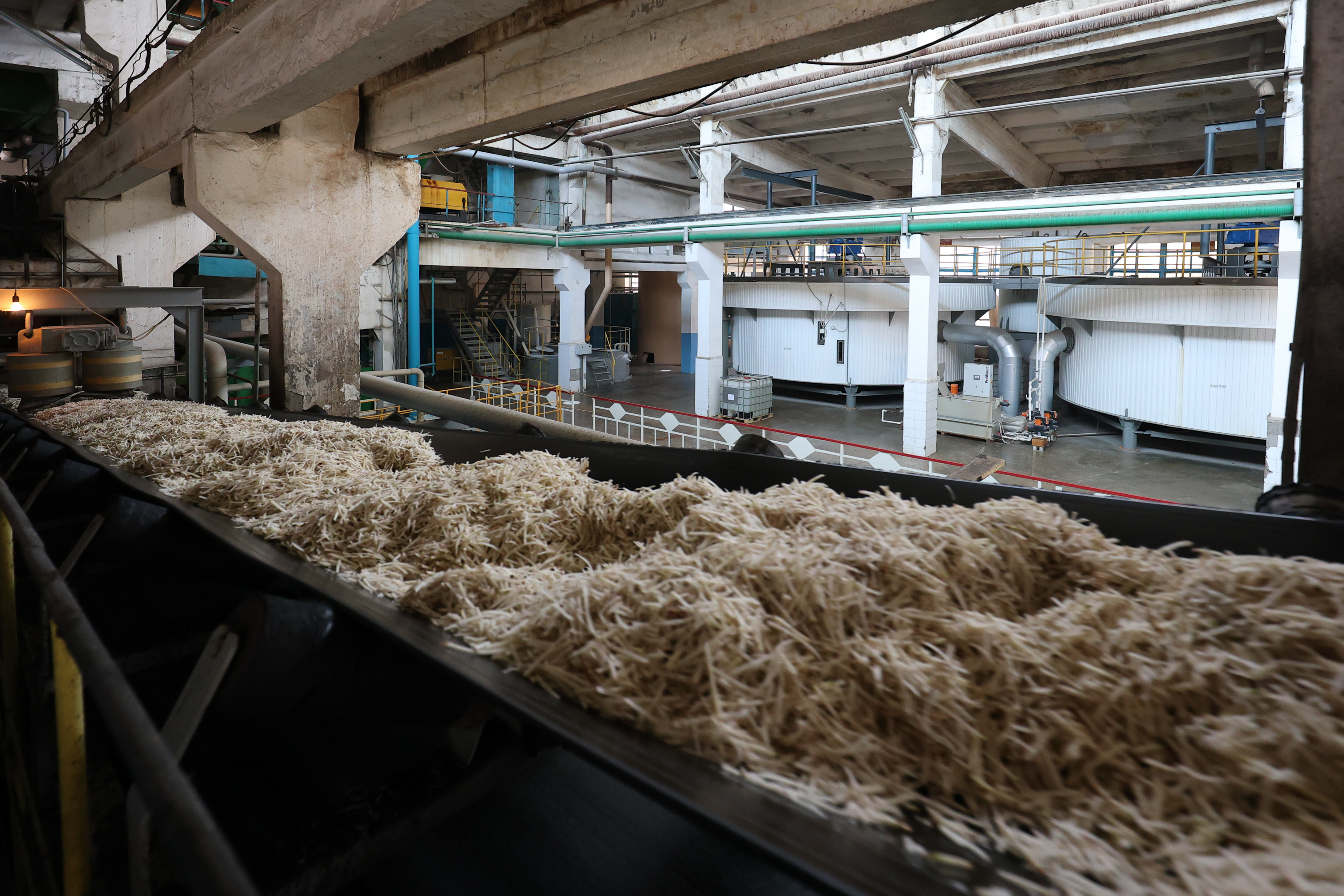 Сахарный завод «Свобода» принял миллион тонн сахарной свеклы 